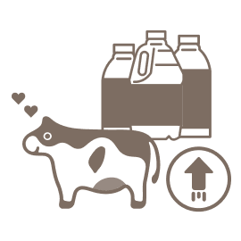 提升乳牛生活品質鮮乳品質隨之提升